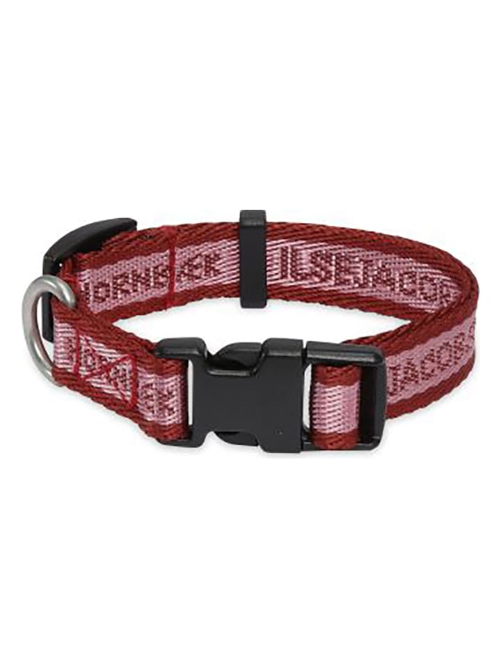 VOV & VUF Hundehalsband in Braun/ Rosa günstig kaufen 28 cm
