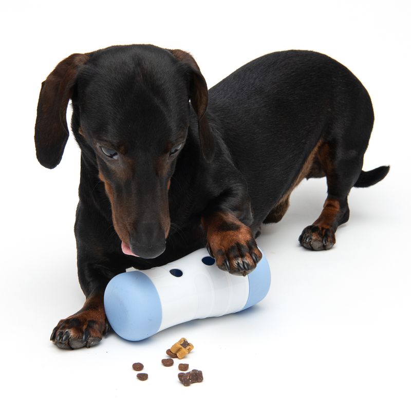Hundespielzeug Snack Roll zu TOP-Preisen