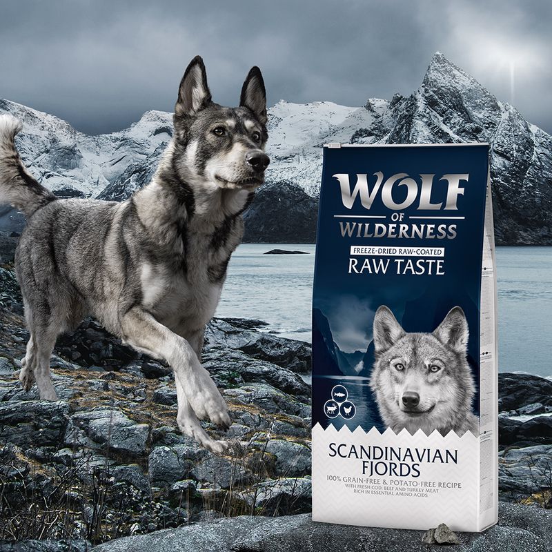 Wolf of Wilderness 'RAW TASTE' MINI Kroketten