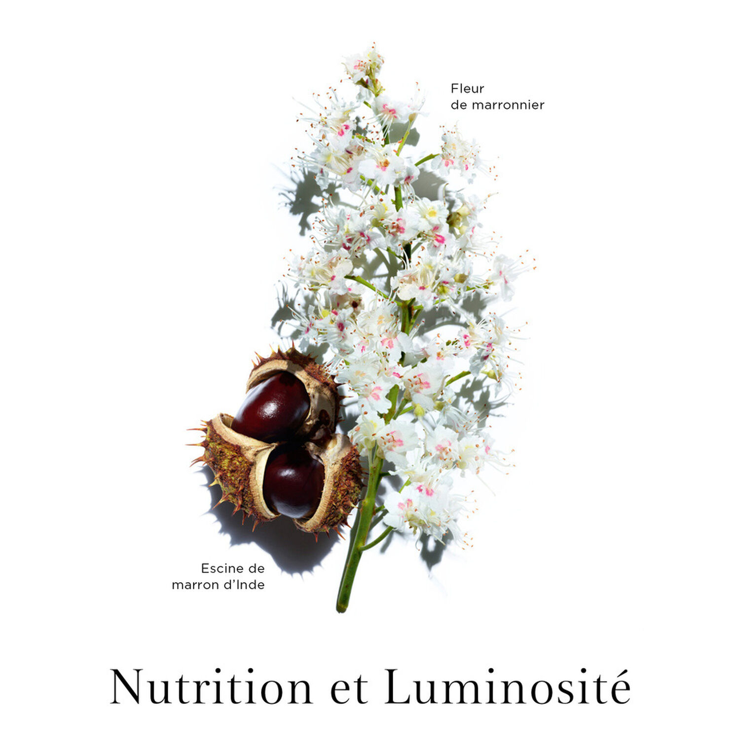 Clarins Nutri-Lumière Jour Emulsion Revitalisante Lumière