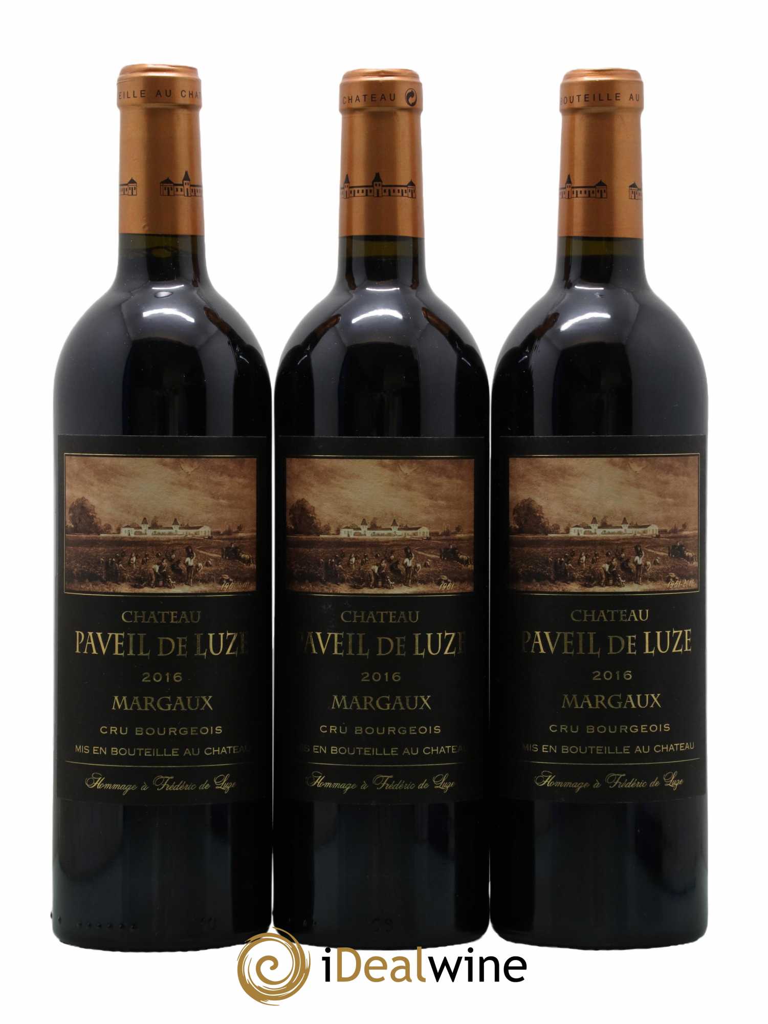 Château Paveil de Luze Cru Bourgeois  2016 - Lot de 6 Bouteilles