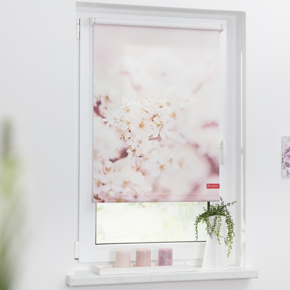 Lichtblick Rollo Klemmfix, ohne Bohren, blickdicht, Kirschblüten - Rosa Weiß, 80 cm x 150 cm (B x L)
