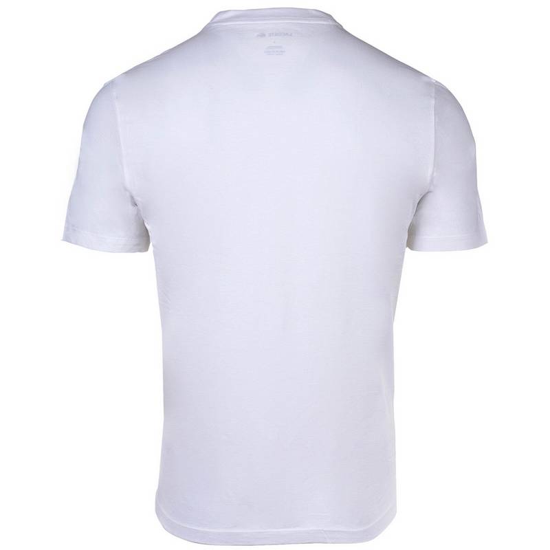 Lacoste T-Shirt T-Shirt Herren
