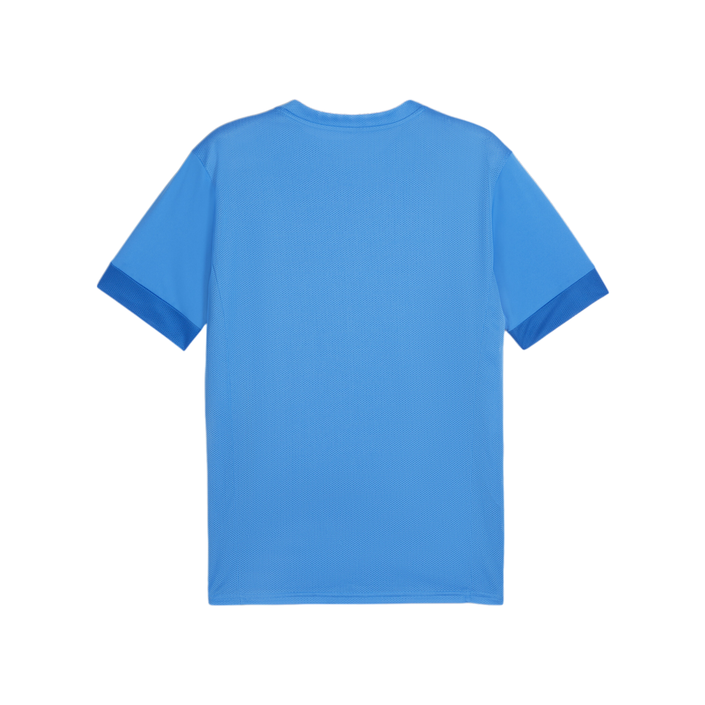 PUMA teamGOAL Matchday Trikot Blau Weiss F02