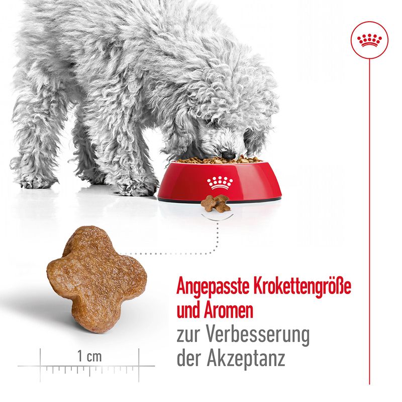 Royal Canin Mini Adult 8+ zu TOP-Preisen