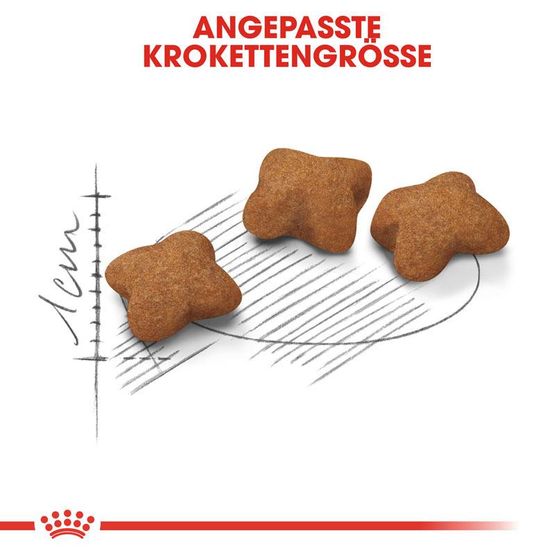 ROYAL CANIN Trockenfutter ROYAL CANIN Kitten Sterilised 2 kg
