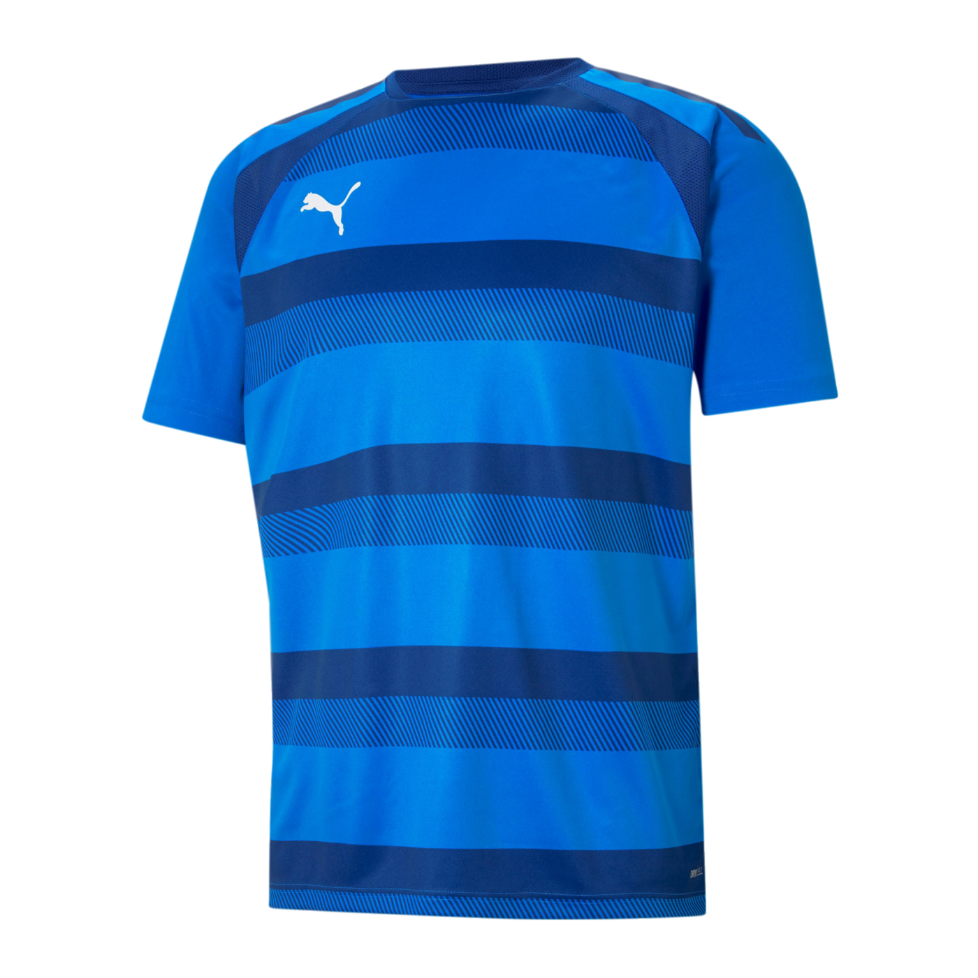 PUMA teamVISION Trikot Blau F02