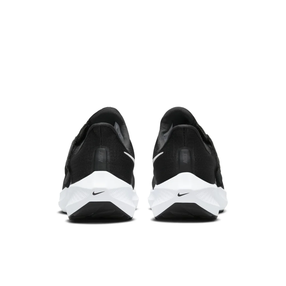 Nike Pegasus FlyEase 39 DJ7383-001 / schwarz
