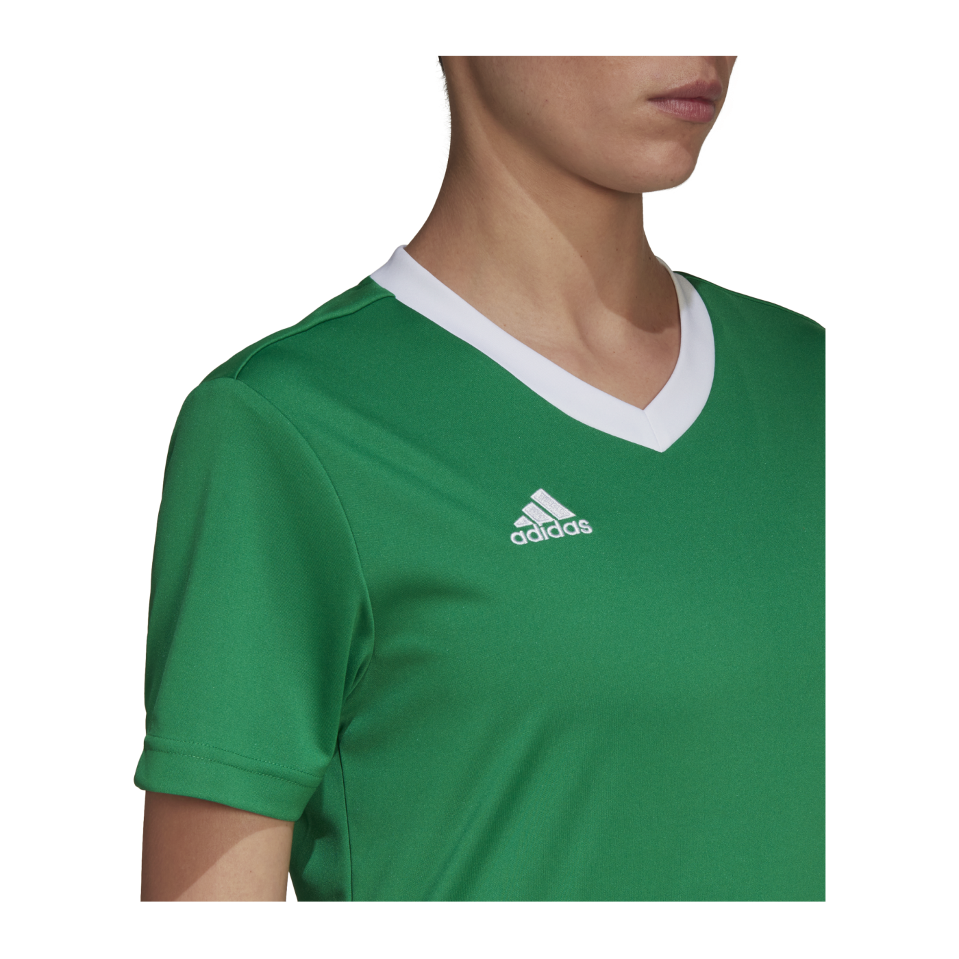 adidas Entrada 22 Trikot Damen Grün