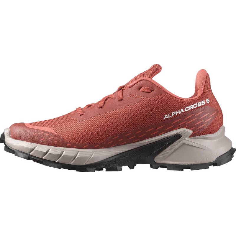 Salomon ALPHACROSS 5 Multifunktionsschuhe Damen