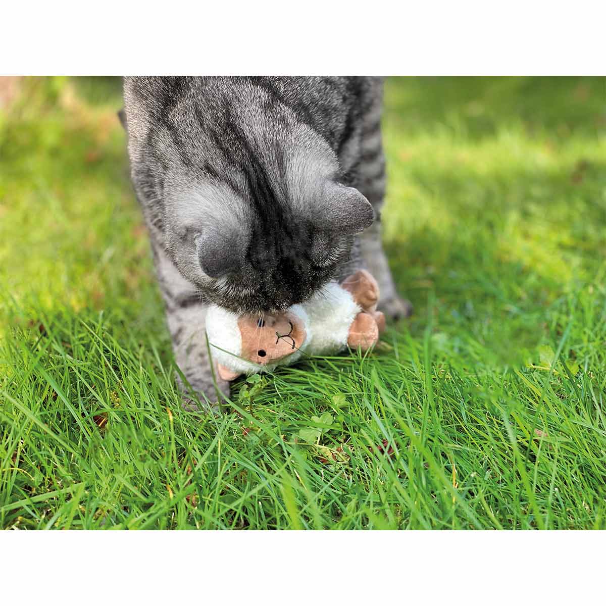 Aumüller Katzenspielkissen Schäfchen Sally kaufen