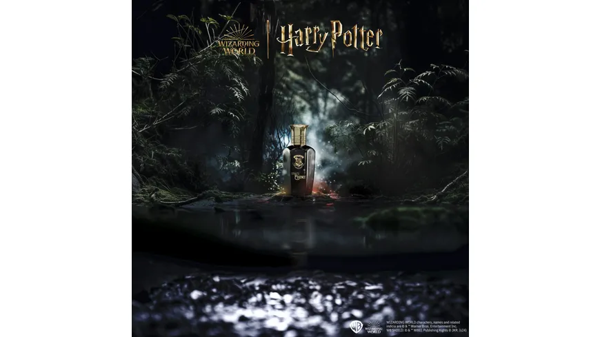 Harry Potter Magical Essence Ambition Man Eau de Parfum 50 ml