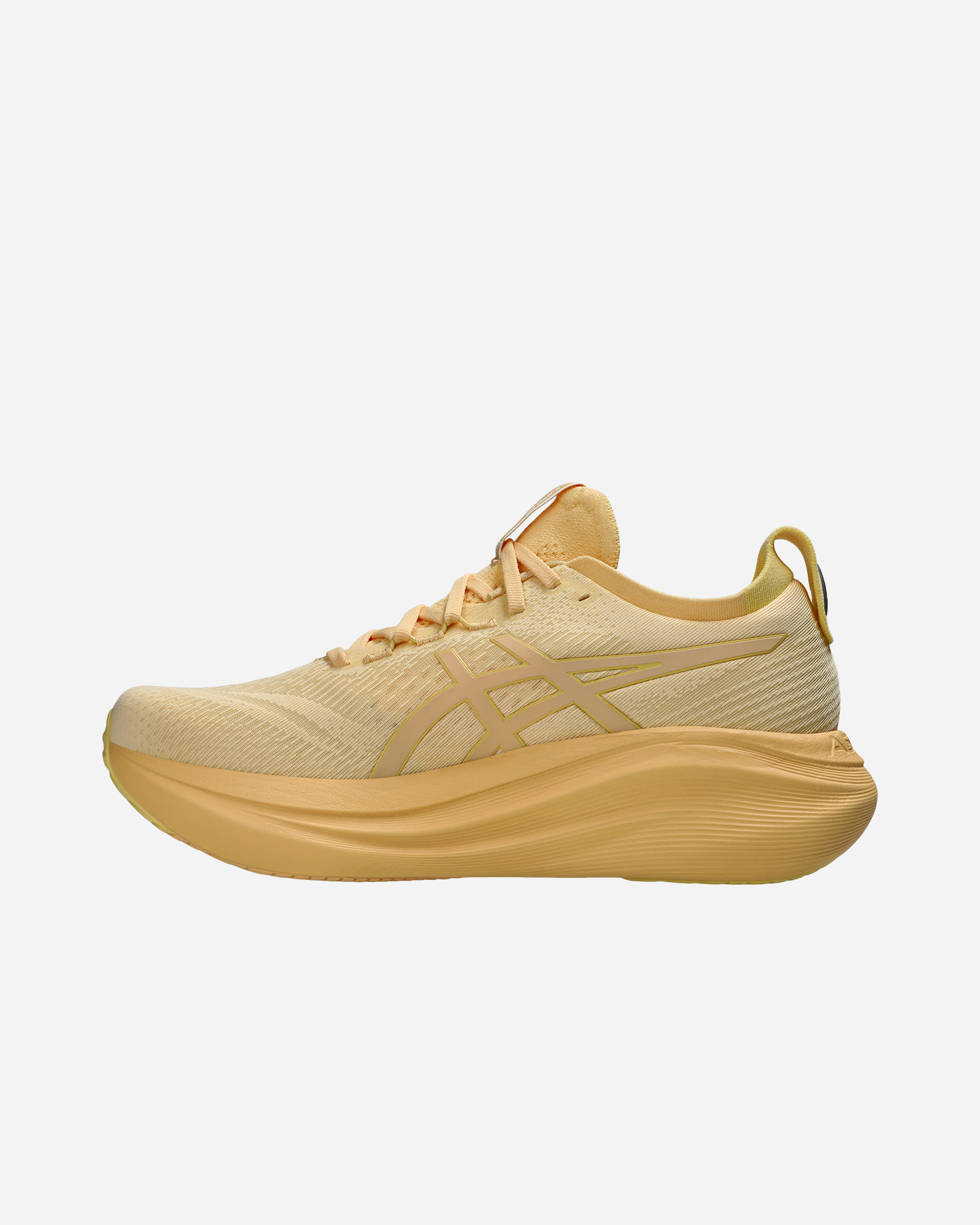Buty do biegania Scarpe Asics Gel Nimbus 27 Lite-show M 1011C033-800