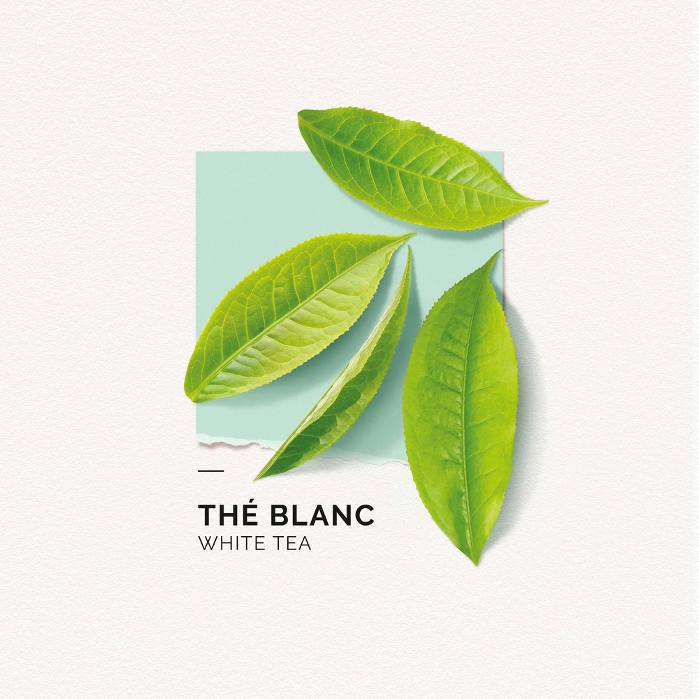 Solinotes Thé Blanc Brume Parfumée