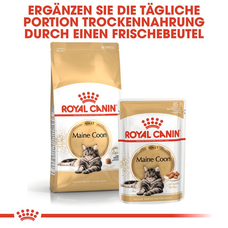 Royal Canin Maine Coon Adult zu TOP-Preisen