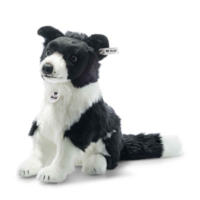 Jaycee Border Collie , 28 cm, schwarz