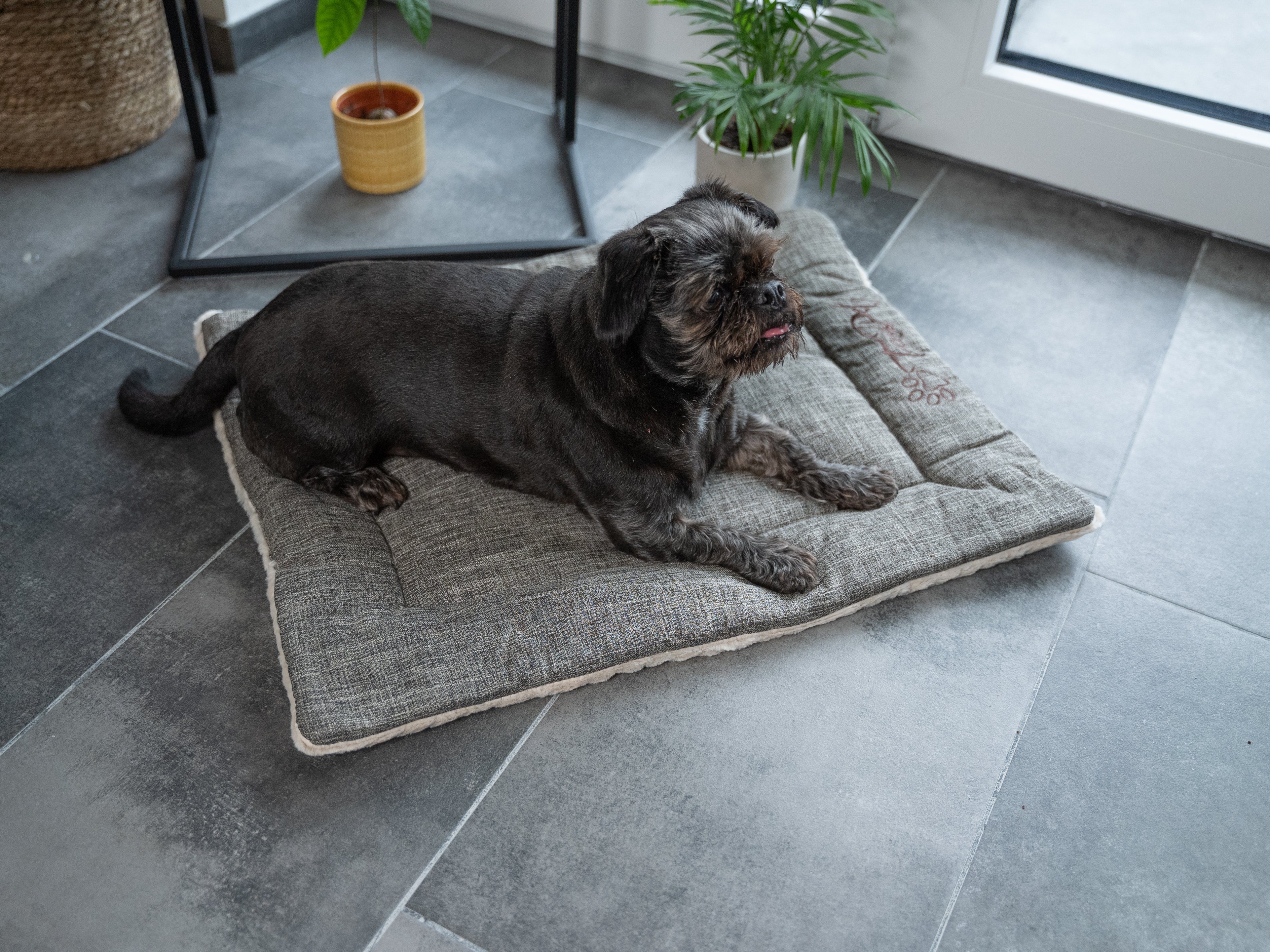 TrendPet Tierdecke Hundedecke 