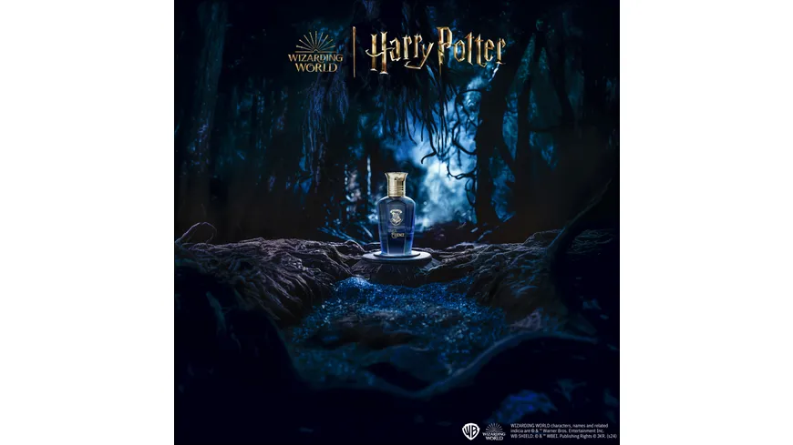 Harry Potter Magical Essence Wisdom Man Eau de Parfum 50 ml