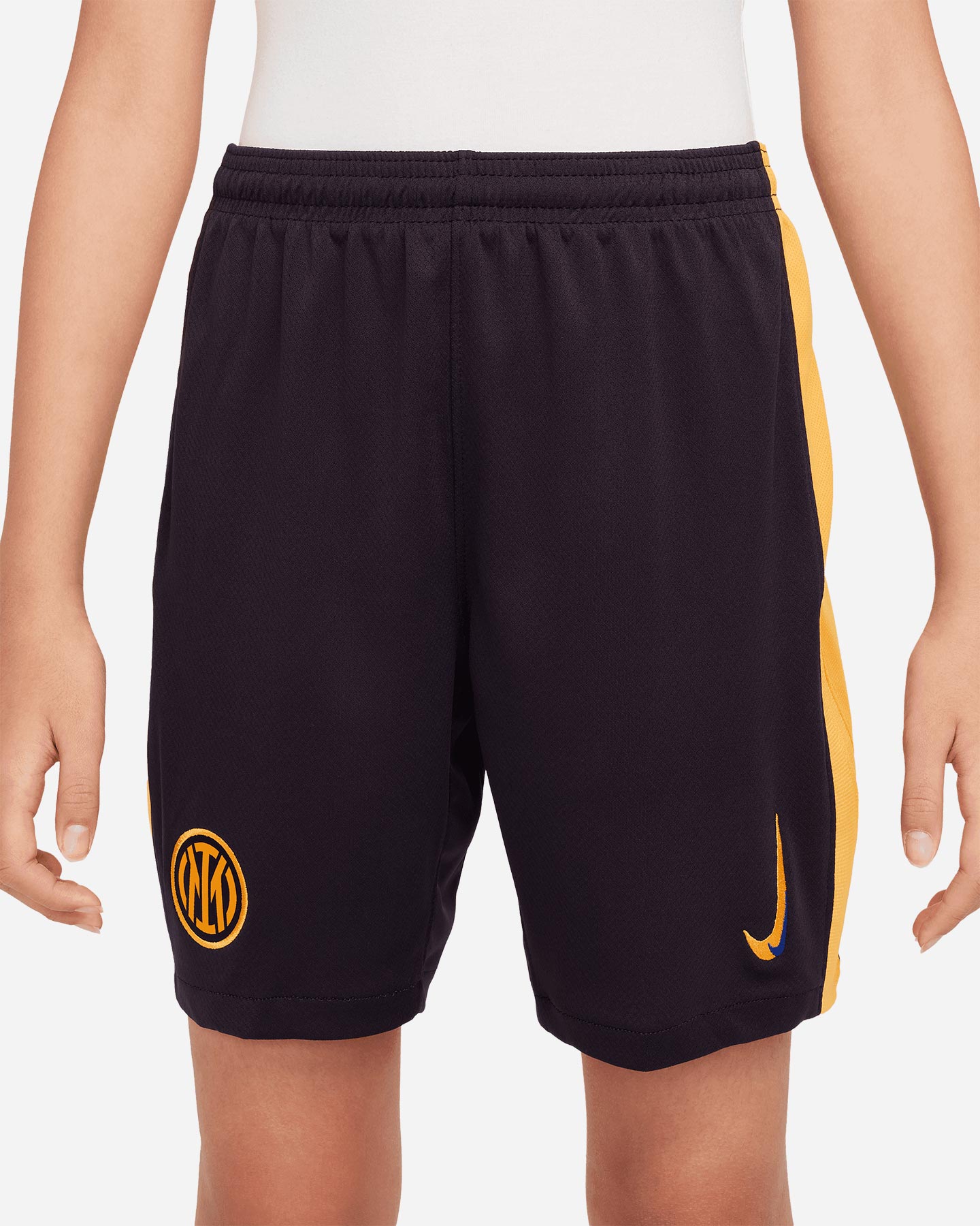 Oficiálne futbalové šortky Nike Inter 24-25 Third Jr FQ2262-498