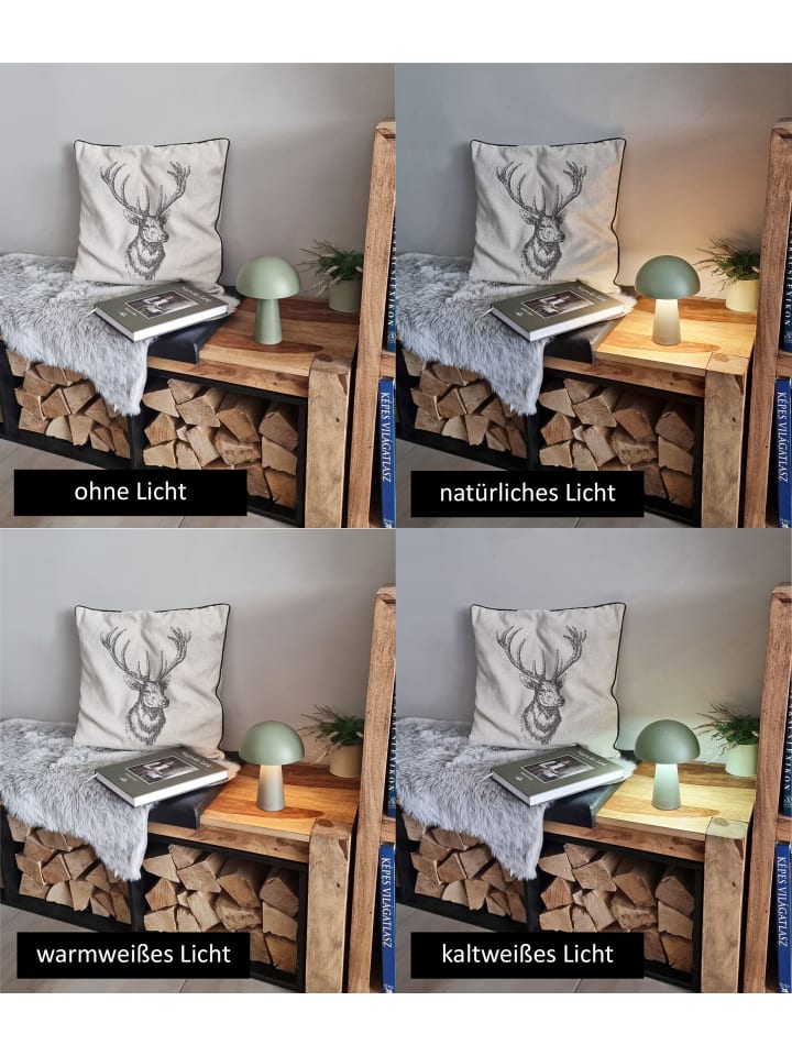 Coen Bakker LED Pilz Tischlampe dimmbar Touch Farbwechsler IP44 Innen Außen 15x21cm Grün günstig kaufen onesize