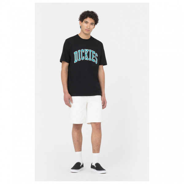 Dickies - Aitkin Tee - T-Shirt