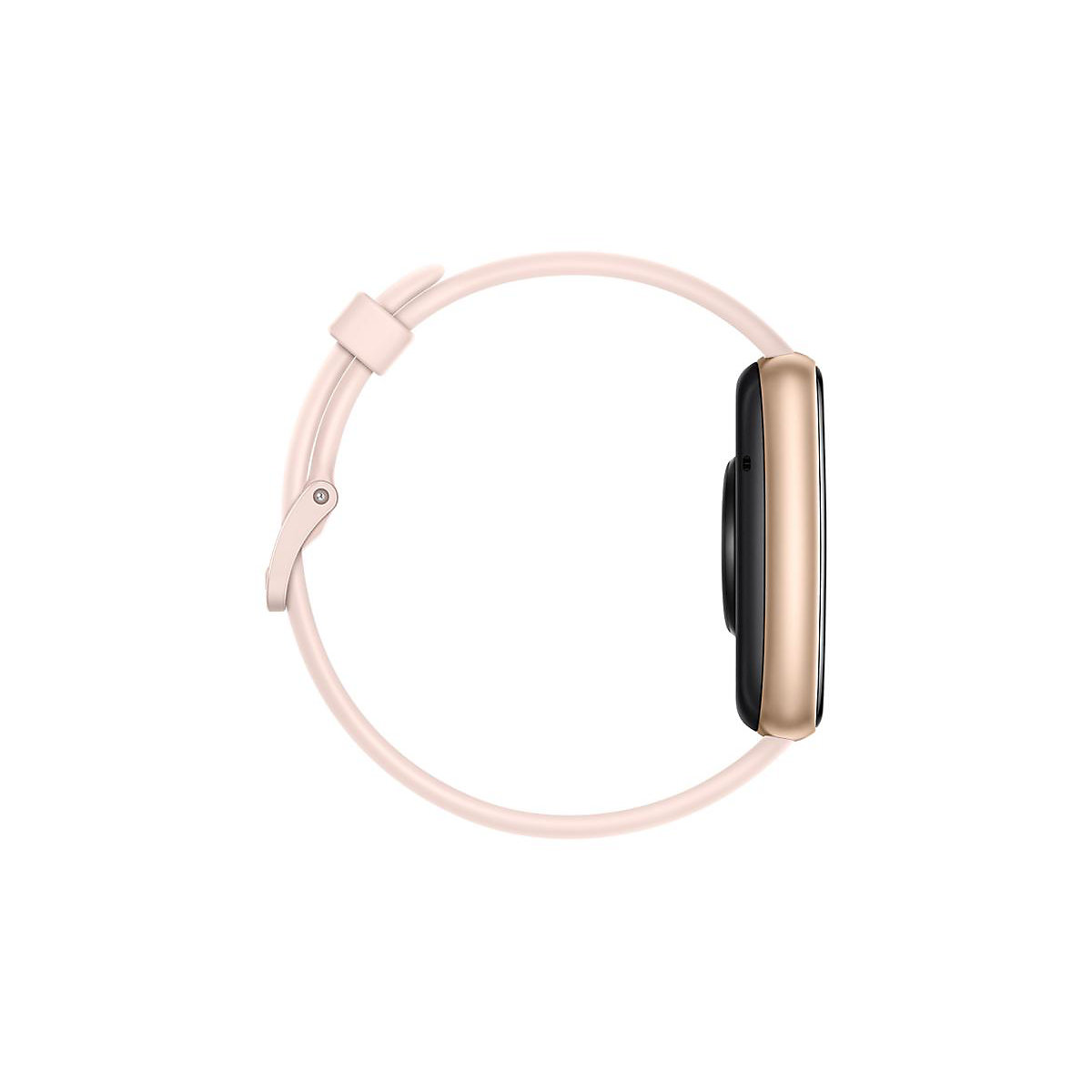 Watch Fit 2 Active