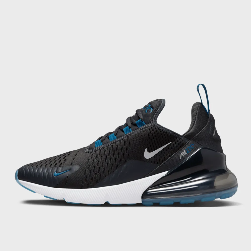 Nike Air Max 270 FV0380-001 / grau