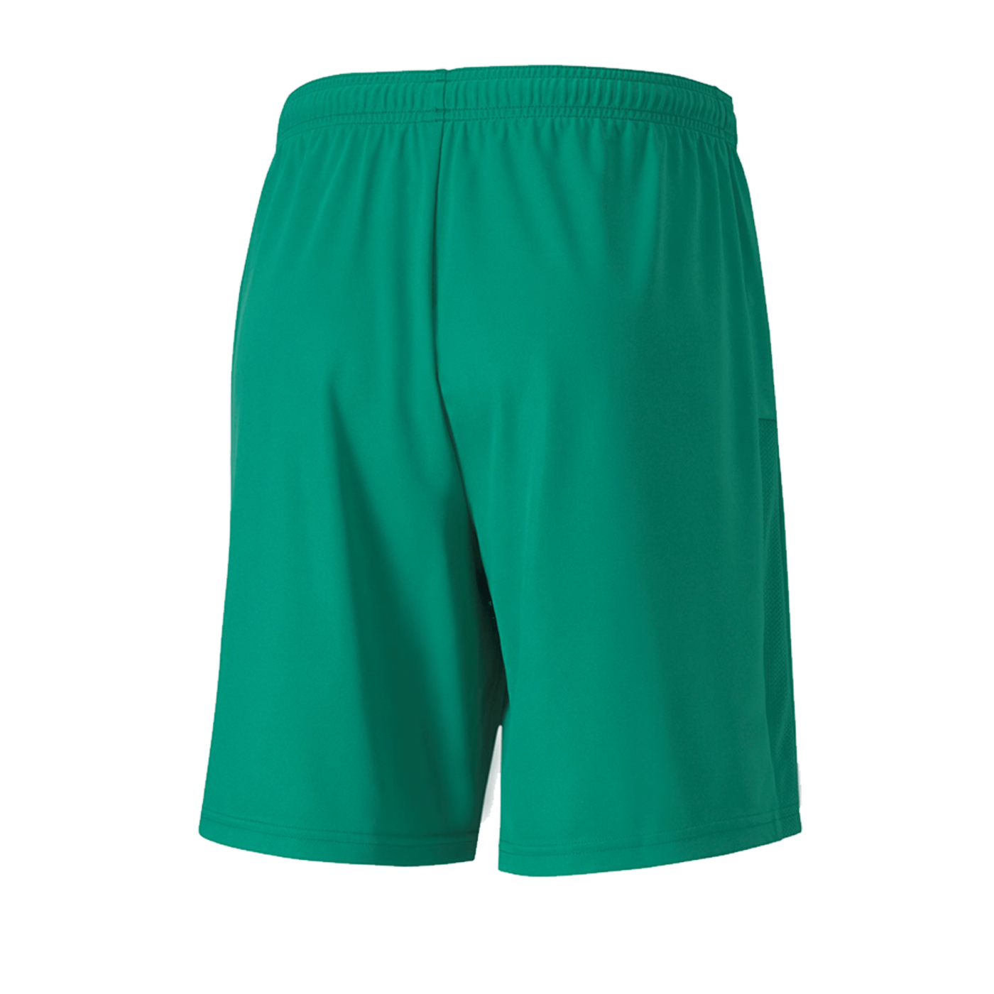 PUMA teamGOAL 23 Knit Short Grün F05