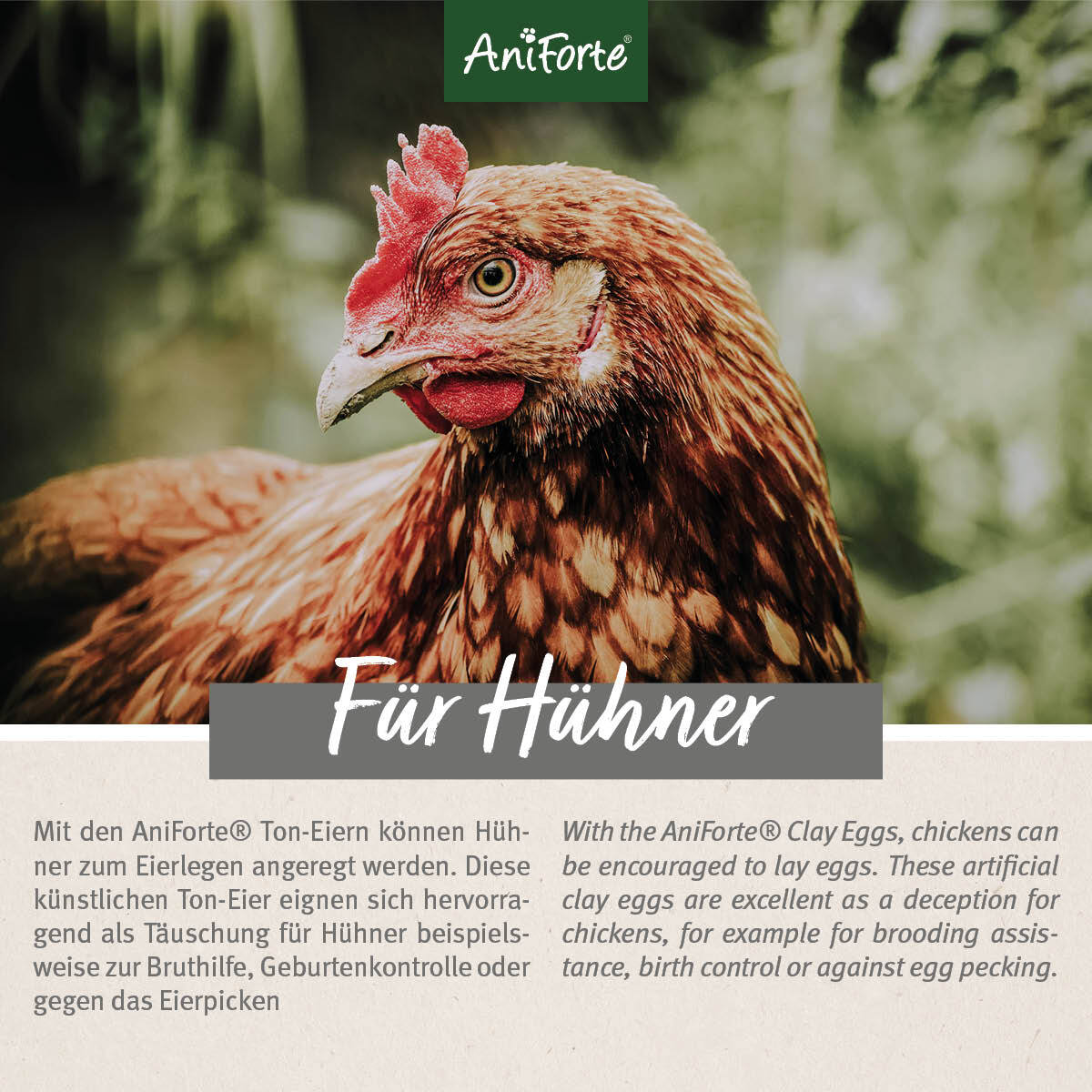 Aniforte Zubehör Aniforte Toneier 6er Pack