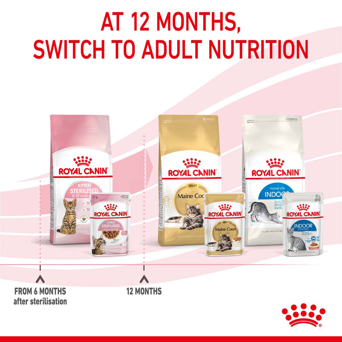 ROYAL CANIN KITTEN STERILISED in Soße Nassnahrung für kastrierte Kätzchen ab 6 Monaten