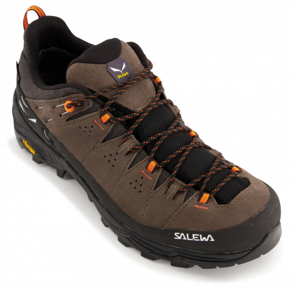 Salewa - Alp Trainer 2 GTX - Multisportschuhe
