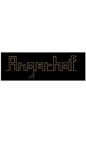 2021 Frizzante rose - Weingut Angerhof