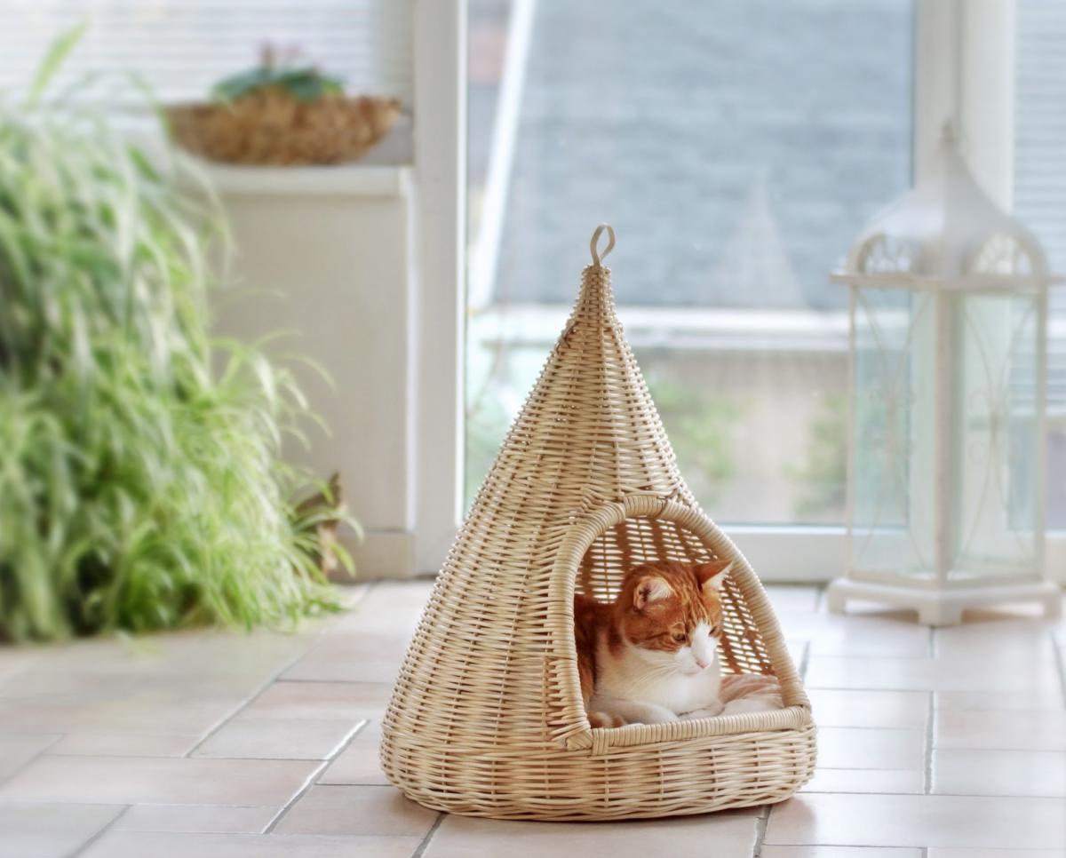 Silvio Design Katzen-Hängekorb Sammy