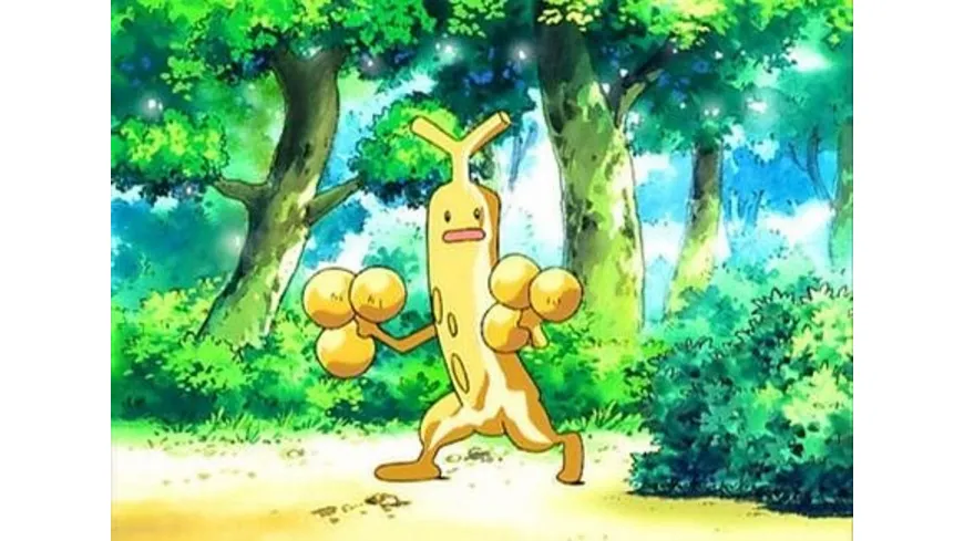 Pokémon - Die TV-Serie: Rubin und Saphir - Staffel 9  [6 DVDs]