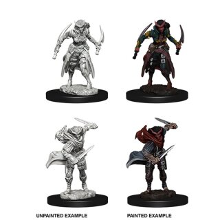 Tiefling Female Rogue: Nolzurs Marvelous Unpainted Minis