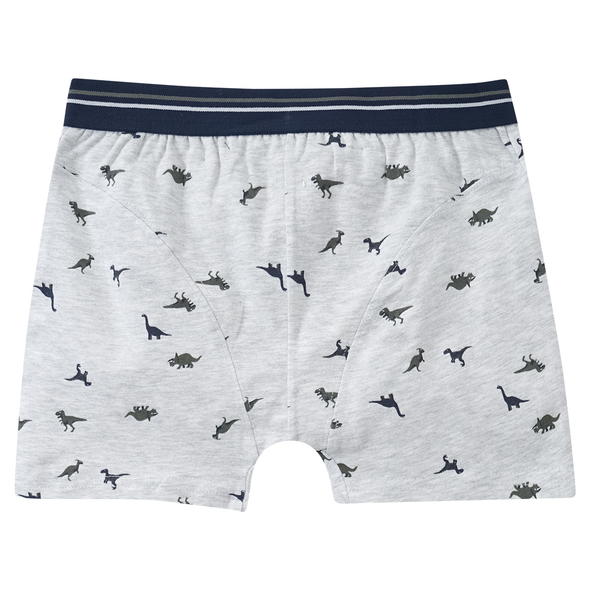 3 Jungen Boxer mit Dinosaurier-Allover