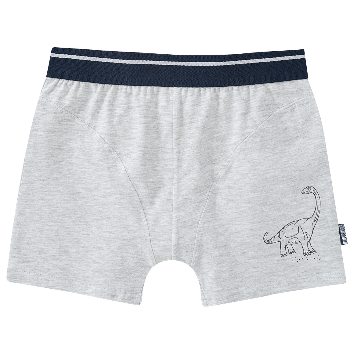 2 Jungen Boxer mit Dino-Motiv