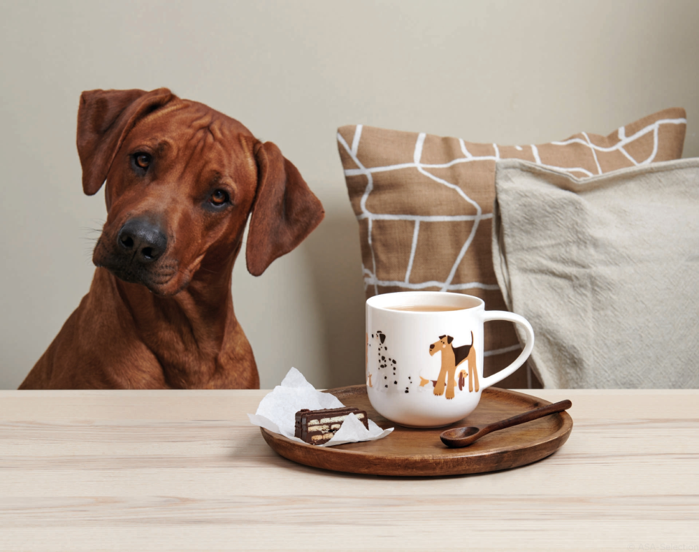 Kaffeebecher 400ml Coppa Dogs