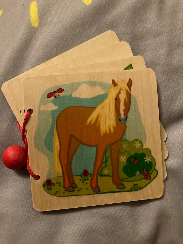 Hess Holzspielzeug Bilderbuch 