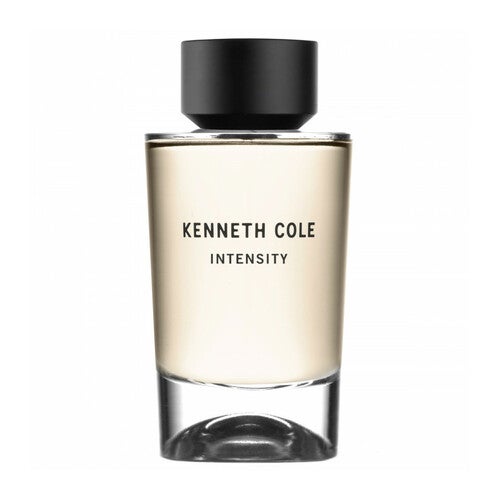 Woda toaletowa Kenneth Cole Intensity 100 ml