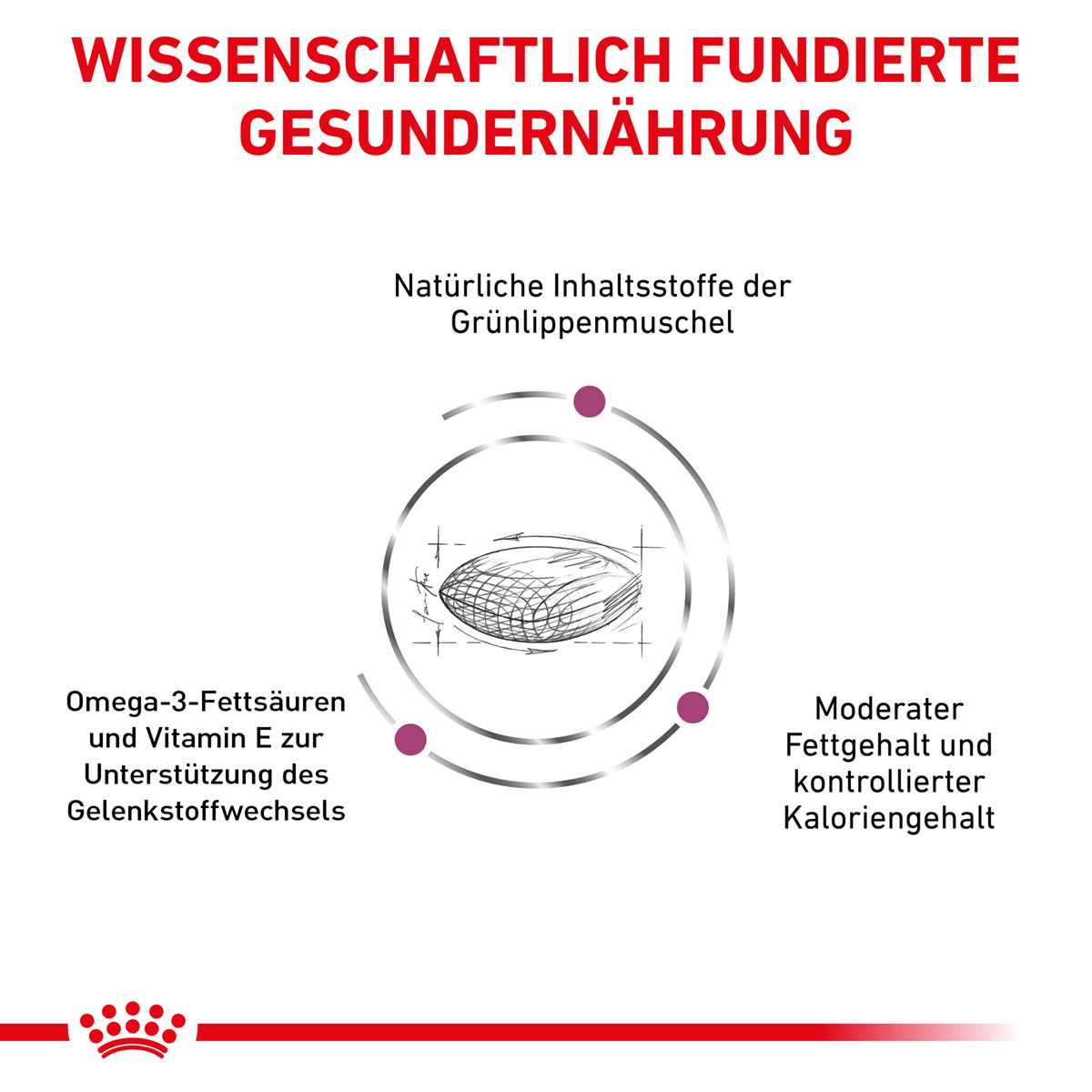 ROYAL CANIN Veterinary MOBILITY SUPPORT Trockenfutter für Hunde