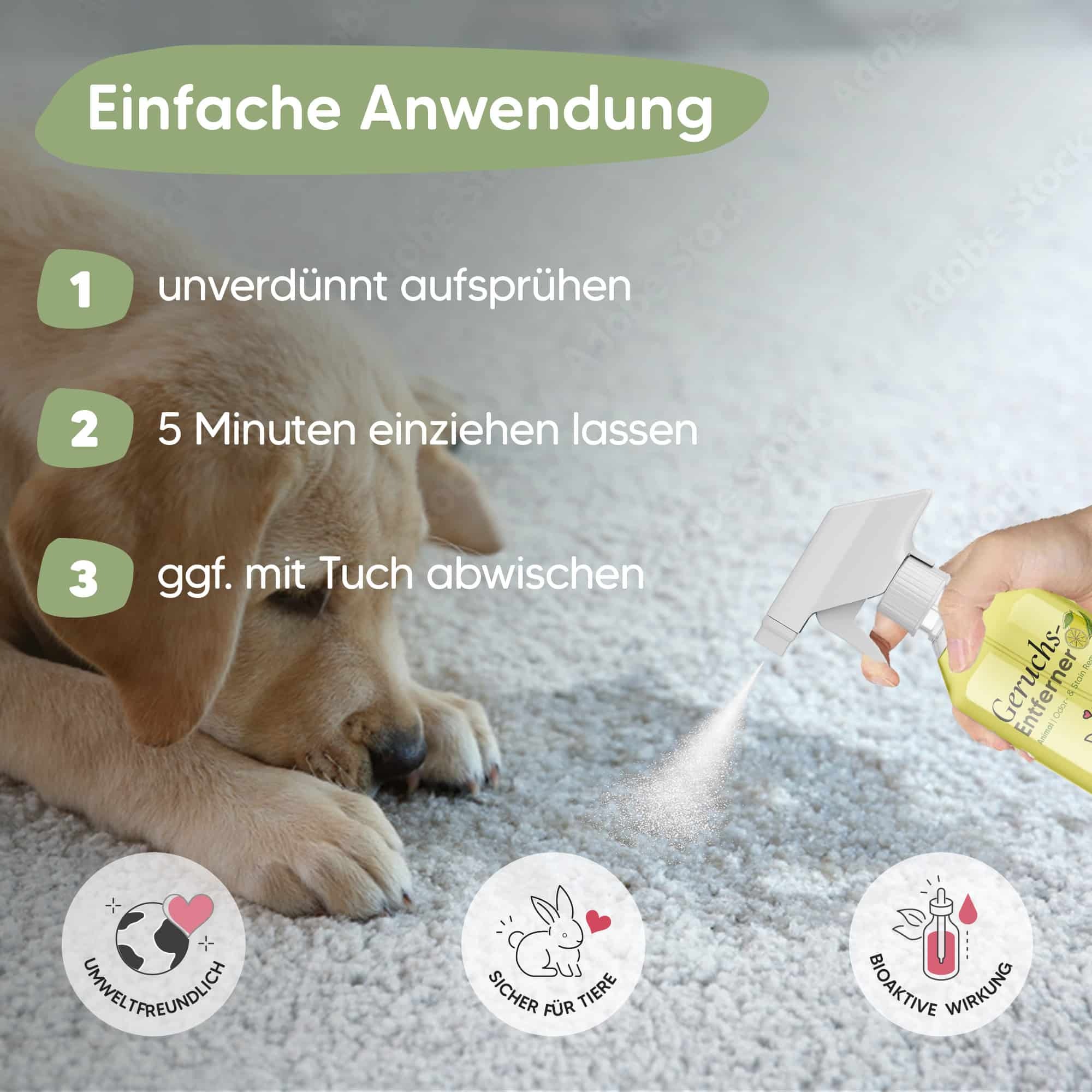 Pawlie's Windeln & Hygiene Pawlie's Tier-Geruchsentferner