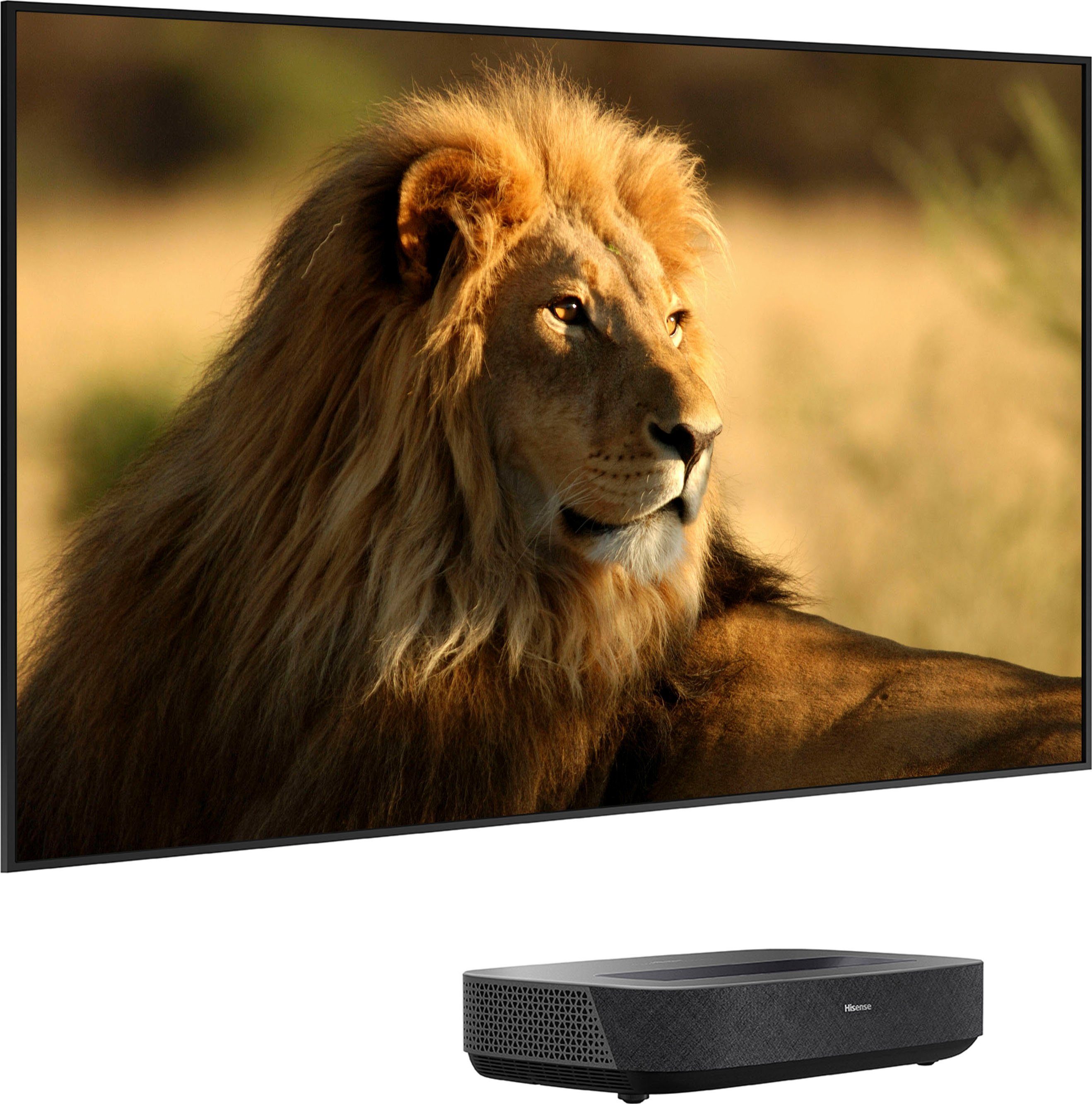 Hisense Hisense 90L5HD Daylight Screen (90 Zoll) Laser Projektor DLP-Beamer (2100 lm, 3840 x 2160 px, 4K, HDR, Game Mode, Dolby Atmos)