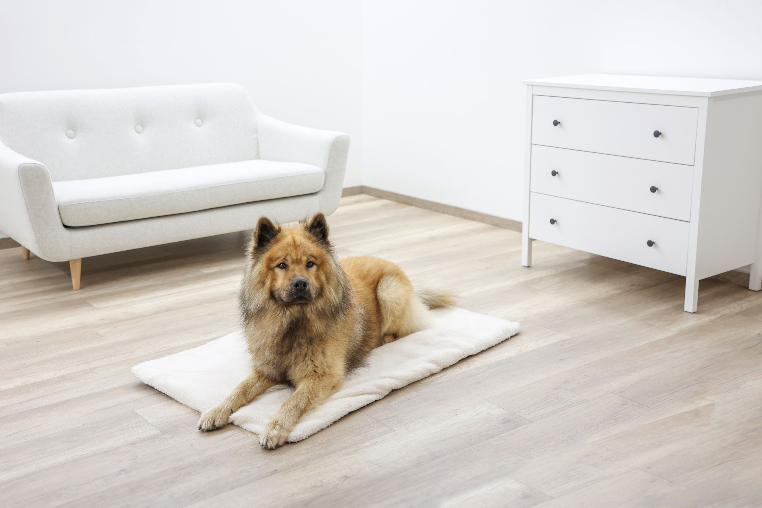 Kerbl Hundekissen Kerbl Pet Liegekissen Theo, Beige, 75x50x3cm L
