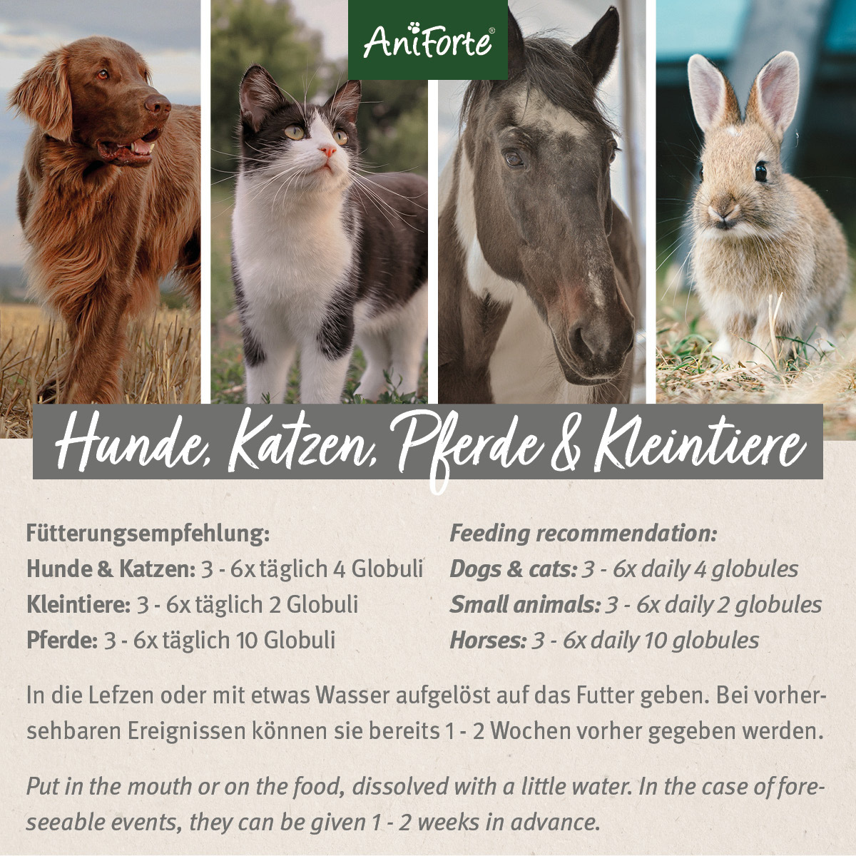 Aniforte Ergänzungsfutter & Aufzucht Aniforte Bachblüten Wohlfühl
