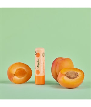 Melvita Geschmeidig pflegender Lippenbalsam Lippenbalsam-3.5 g