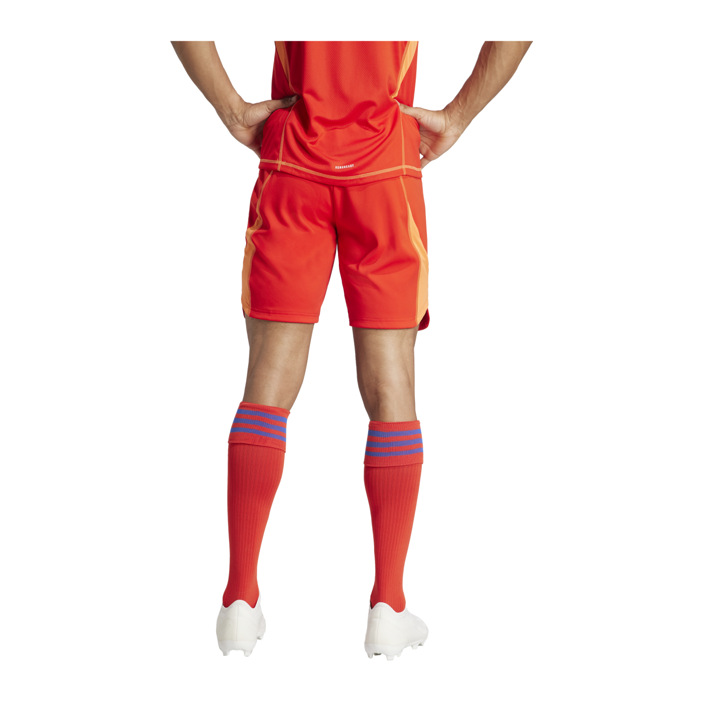 adidas Tiro 24 Pro Torwartshort Rot