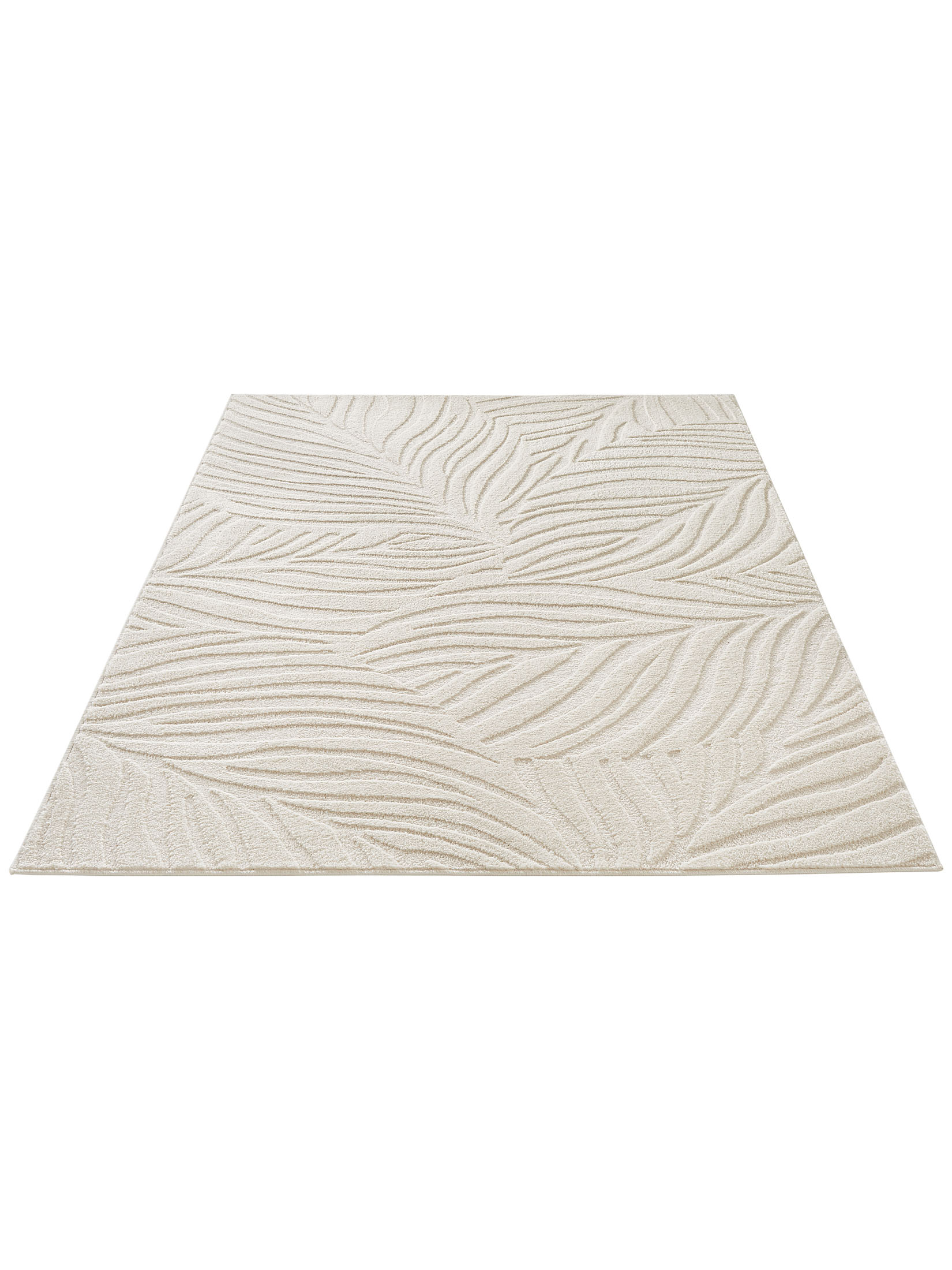 Pianta Moderner Teppich, Ivory