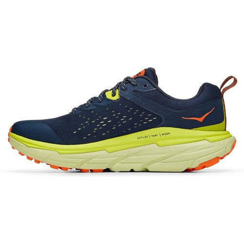 HERREN LAUFSCHUHE M CHALLENGER ATR 6 GTX