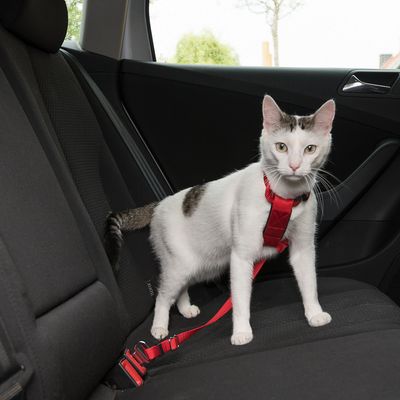 Trixie Auto-Geschirr für Katzen